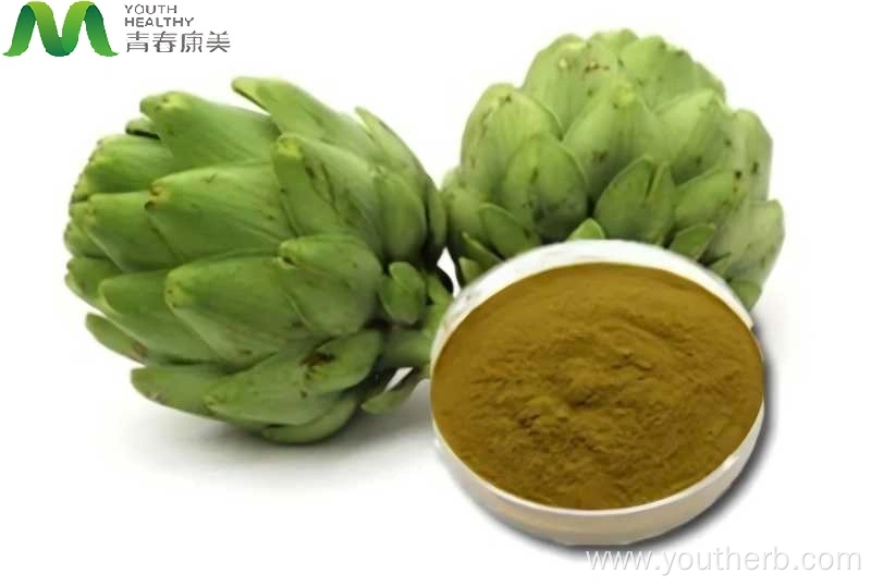 Best Artichoke Extract for Liver China Manufacturers Suppliers Factory